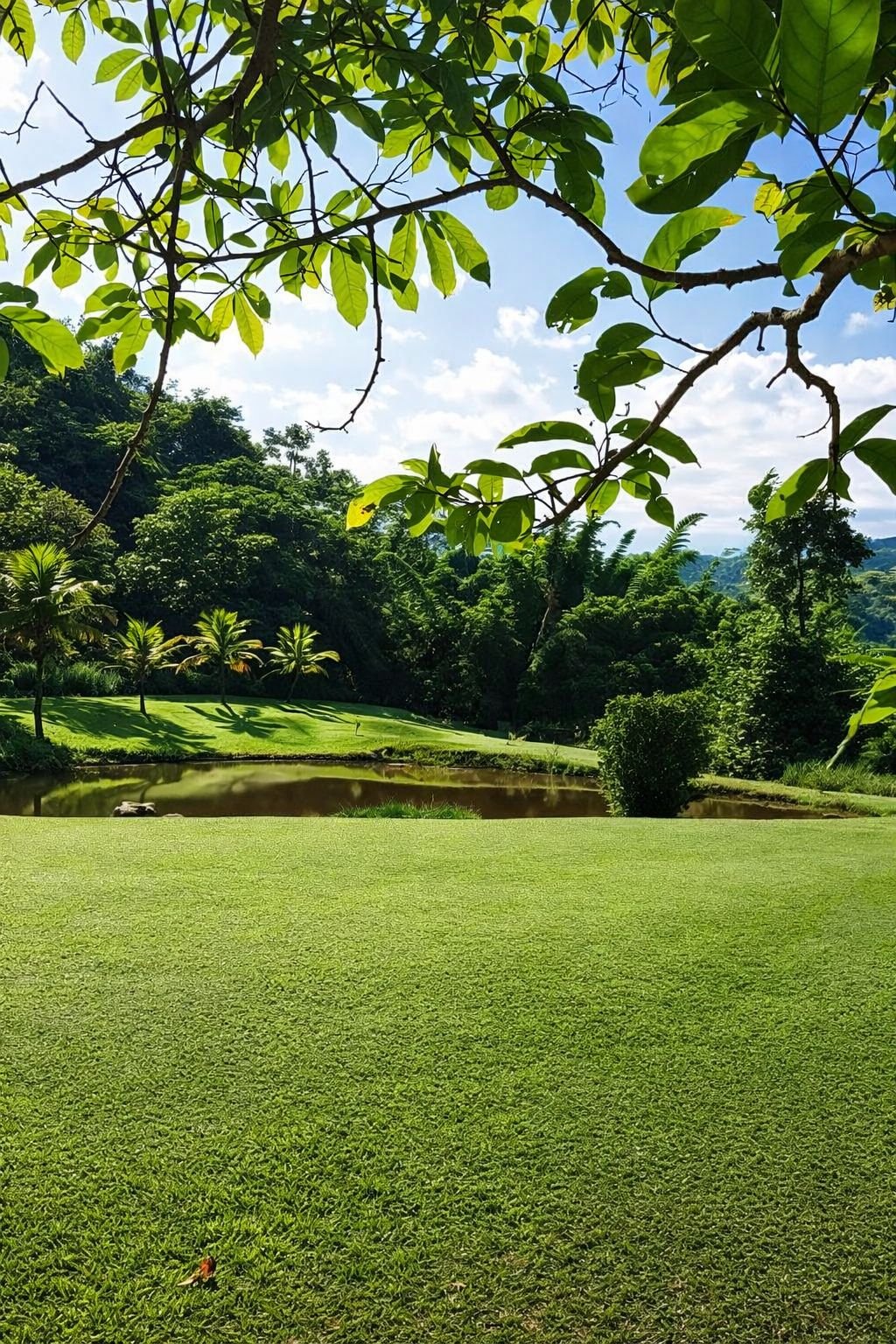 WhatsApp Image 2026-03-02 at 21.38.54