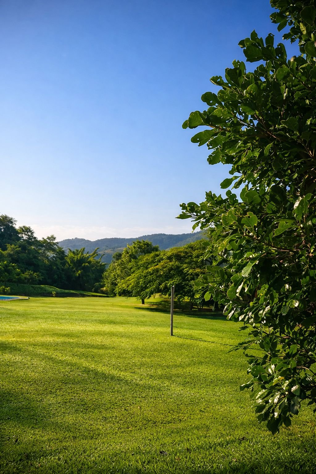 WhatsApp Image 2026-03-02 at 21.38.55 (1)